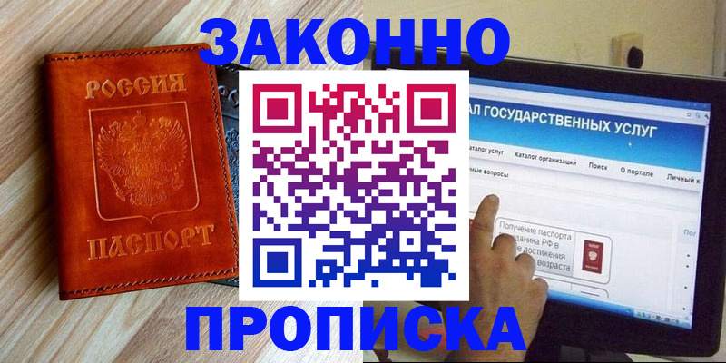 прописка гарантия в Новозыбкове